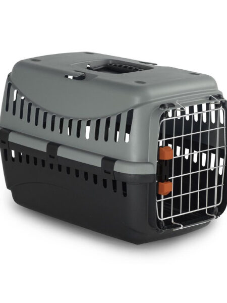 Bracco ECO 1